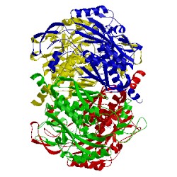 Image of CATH 1um0