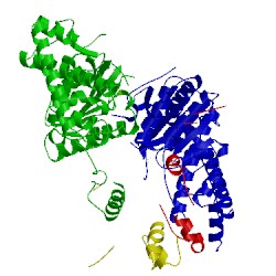 Image of CATH 1um9