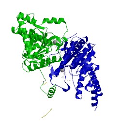 Image of CATH 1umd