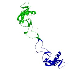 Image of CATH 1uos