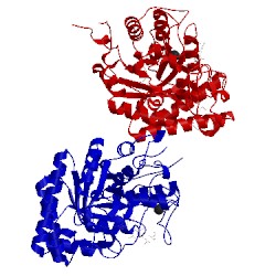 Image of CATH 1ur0