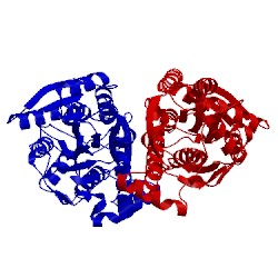 Image of CATH 1usi