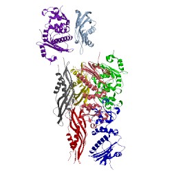 Image of CATH 1usv