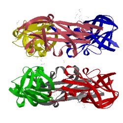 Image of CATH 1ut1