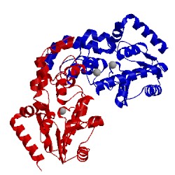 Image of CATH 1ut5