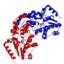 Image of CATH 1ut8