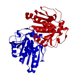 Image of CATH 1uwc