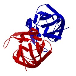 Image of CATH 1uxz