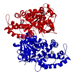 Image of CATH 1uyu