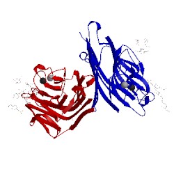 Image of CATH 1uzy