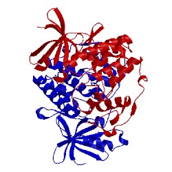 Image of CATH 1v0b
