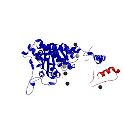 Image of CATH 1v11