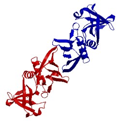 Image of CATH 1v1o