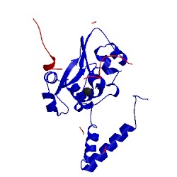 Image of CATH 1v29