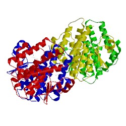 Image of CATH 1v2a