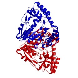 Image of CATH 1v2f