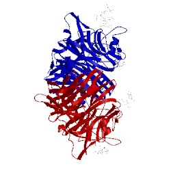 Image of CATH 1v2i