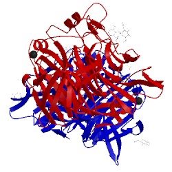 Image of CATH 1v3c