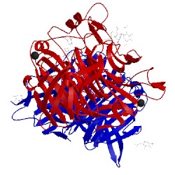 Image of CATH 1v3d