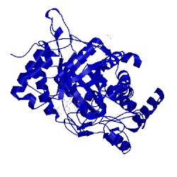 Image of CATH 1v3i