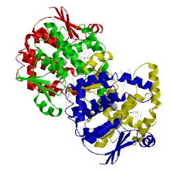 Image of CATH 1v40