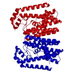 Image of CATH 1v4e