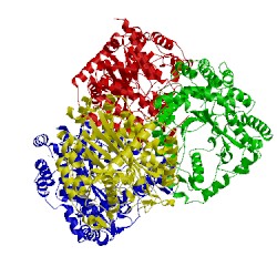 Image of CATH 1v4g