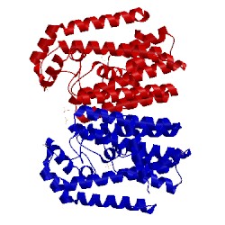 Image of CATH 1v4j