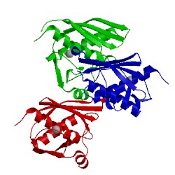 Image of CATH 1v4p