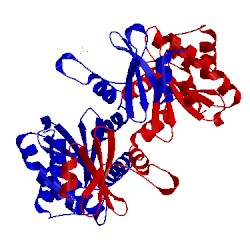 Image of CATH 1v57