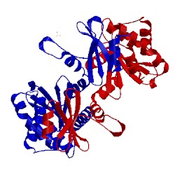 Image of CATH 1v58