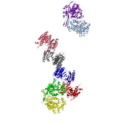 Image of CATH 1v5b