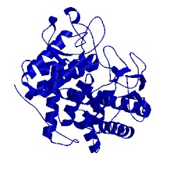 Image of CATH 1v5c