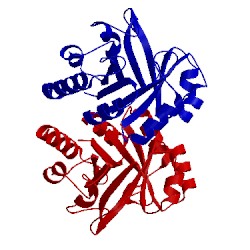 Image of CATH 1v5x