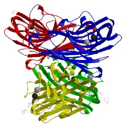 Image of CATH 1v6j