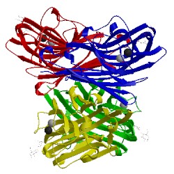 Image of CATH 1v6k