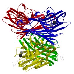 Image of CATH 1v6l