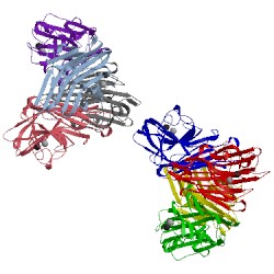 Image of CATH 1v6m