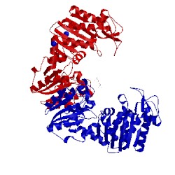 Image of CATH 1v6s