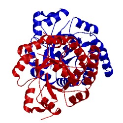 Image of CATH 1v7y