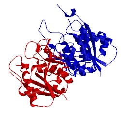 Image of CATH 1v82