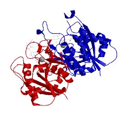 Image of CATH 1v84