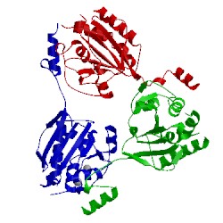 Image of CATH 1v8d