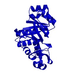 Image of CATH 1v8e