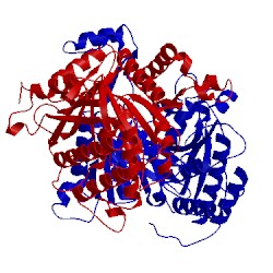 Image of CATH 1v94