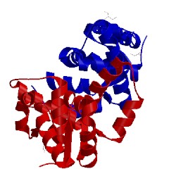 Image of CATH 1v96