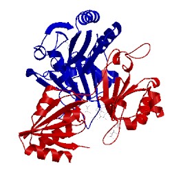 Image of CATH 1v9a