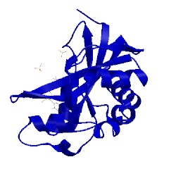 Image of CATH 1v9h