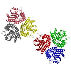 Image of CATH 1va4