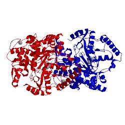 Image of CATH 1va6